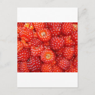 DENKE RASPBERRY! POSTKARTE