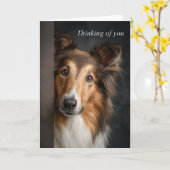 Denken an Dich Collie Karte (Gelbe Blume)