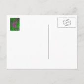 "DENKEN AN EUCH" FLÖSLICH POSTKARTE (Rückseite)