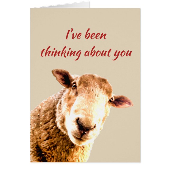 Denken an Ewe Funny Sheep Animal Spaß (Vorne)