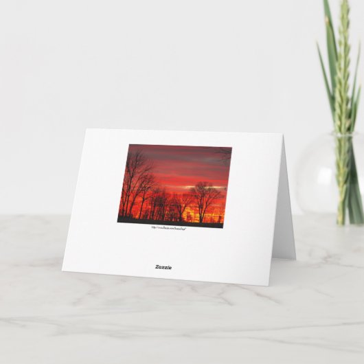 Denken an Sie ~ 1 Karte (Rückseite)