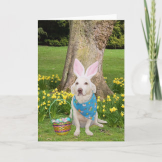 Denken an Sie bei Ostern Feiertagskarte