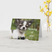 Denken an Sie Chihuahua Karte (Gelbe Blume)