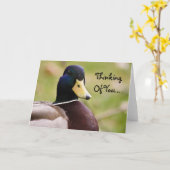 Denken an Sie Enten-Karte Karte (Gelbe Blume)