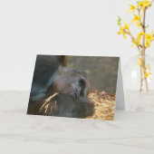 Denken an Sie Karte (Gelbe Blume)