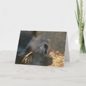 Denken an Sie Karte (Vorderseite)