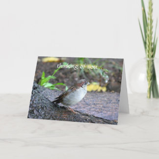 Denken an Sie… Karte