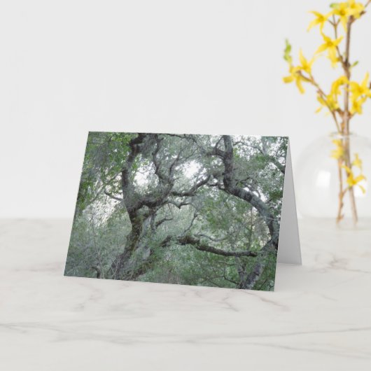 Denken an Sie Karte verwirrte Eichen (Gelbe Blume)