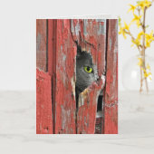 Denken an Sie Katze Karte (Gelbe Blume)