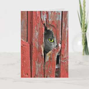 Denken an Sie Katze Karte