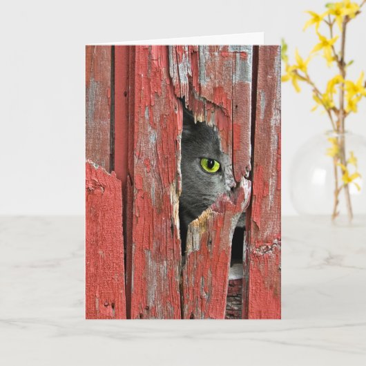 Denken an Sie Katze Karte (Gelbe Blume)