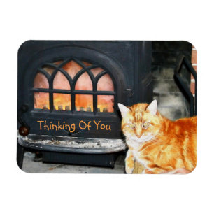 Denken an Sie Katze Magnet