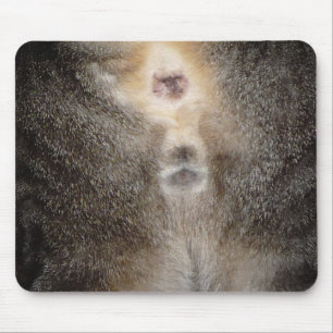 Denken an Sie Katze Mousepad