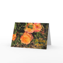 Denken an Sie: Korallenrote Rosen