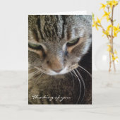 Denken an Sie lustige Tabby-Katzen-Karte Karte (Gelbe Blume)