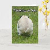 Denken an Sie lustiger unhöflicher Mops Karte (Gelbe Blume)