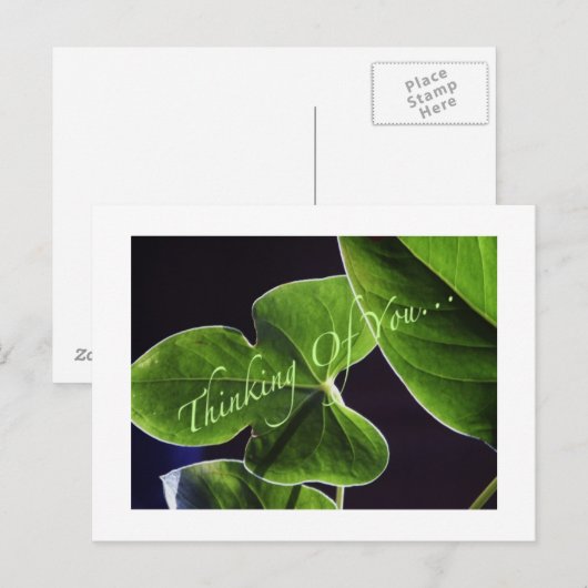 Denken an Sie… Postkarte (Vorne/Hinten)