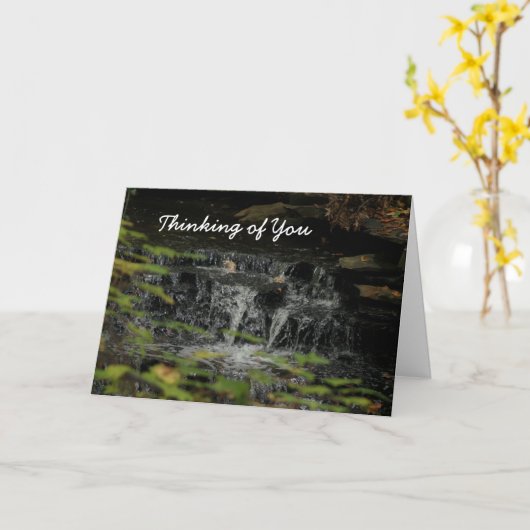 Denken an Sie Wasserfall Karte (Gelbe Blume)