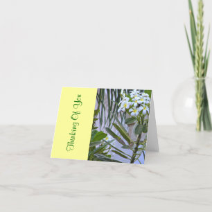 "DENKEN AN SIE", WEISSE BLUME/GELBE ZENTREN KARTE