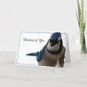 Denken an Sie - Winter-blaue Jay-Reihe Karte