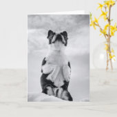 Denken an U Karte (Gelbe Blume)