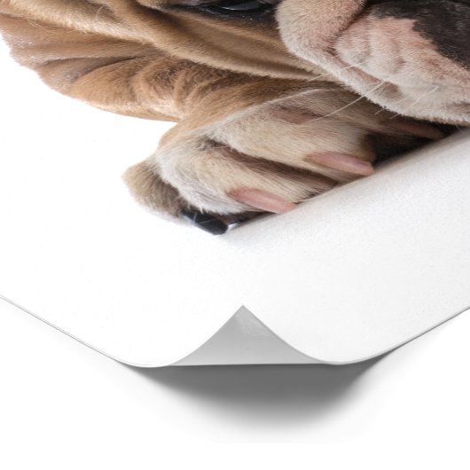 Denken Cap School Spaß Poster (Ecke)