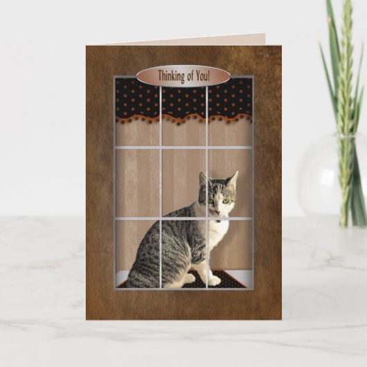 Denken - Cat Looking out Window Karte (Vorderseite)
