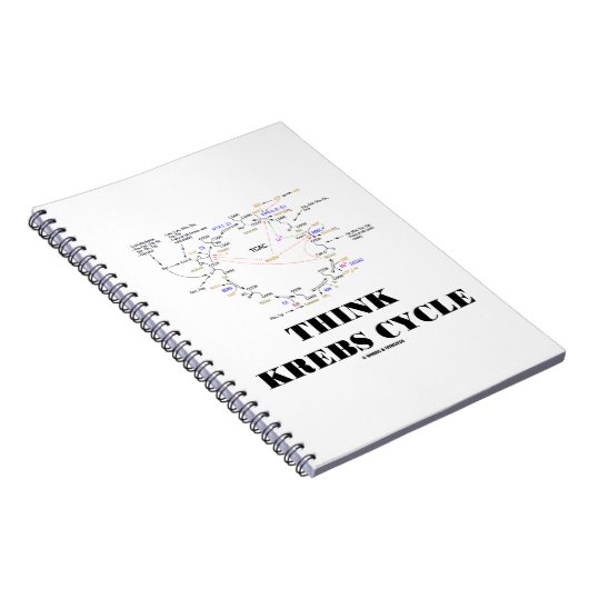 Denken Krebs Zykluszähigkeitszyklus - TCAC Notizblock (Rechte Seite)