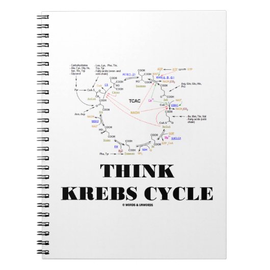 Denken Krebs Zykluszähigkeitszyklus - TCAC Notizblock (Vorderseite)