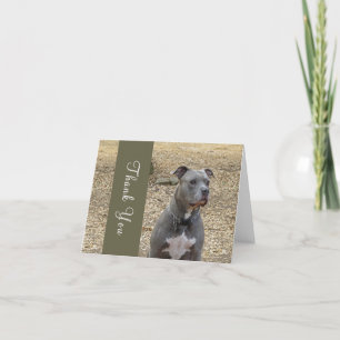Denken Pitbull Vielen Dank Note Card Dankeskarte