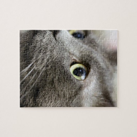 Denken Puzzle (Horizontal)