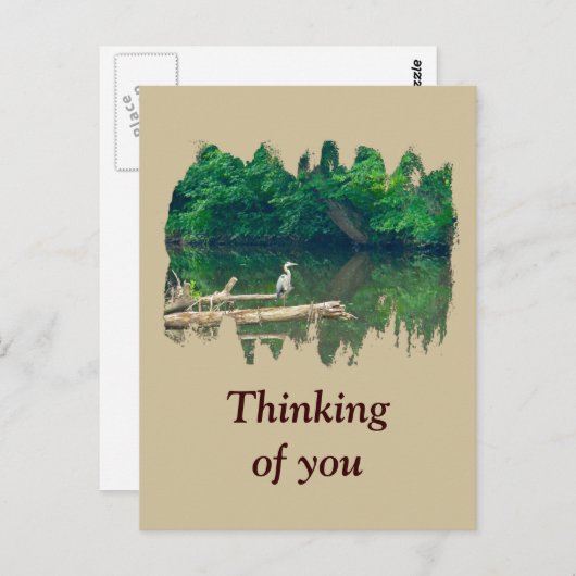 Denken Sie am Morgen an den Bach Postkarte (Vorne/Hinten)