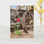 Denken Sie an Altes und Rotes Tulip Karte (Gelbe Blume)