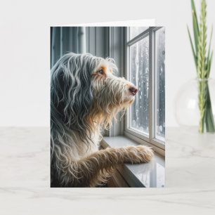 Denken Sie an "Barted Collie a Rainy Window" Karte