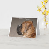 Denken Sie an Boxer Karte (Gelbe Blume)