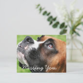 Denken Sie an Boxer - Vindy Postkarte (Stehend Vorderseite)
