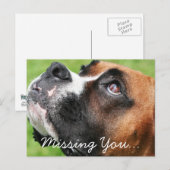 Denken Sie an Boxer - Vindy Postkarte (Vorne/Hinten)