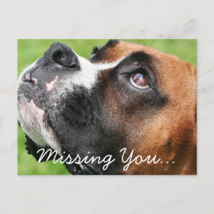 Denken Sie an Boxer - Vindy Postkarte