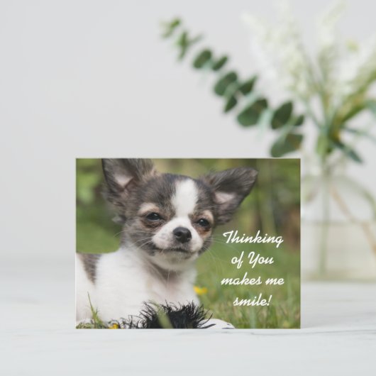 Denken Sie an Chihuahua Postkarte (Stehend Vorderseite)