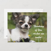Denken Sie an Chihuahua Postkarte (Vorne/Hinten)