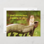 Denken Sie an Chipmunk Postkarte (Vorne/Hinten)
