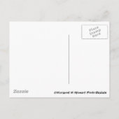 Denken Sie an Chipmunk Postkarte (Rückseite)