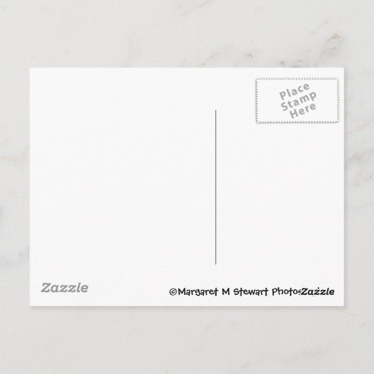 Denken Sie an Chipmunk Postkarte (Rückseite)