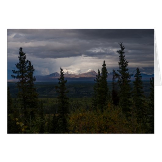 Denken Sie an das Fotografieren von leuchtenden Be (Vorderseite (Horizontal))