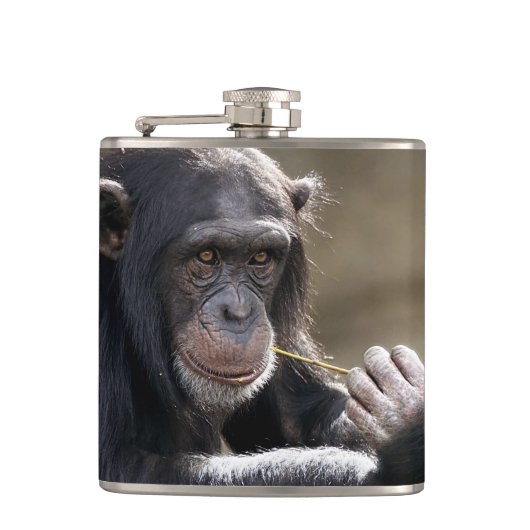 Denken Sie an das Monkeying Flachmann (Vorderseite)