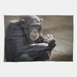 Denken Sie an das Monkeying Geschirrtuch