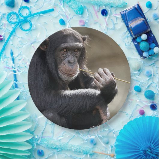 Denken Sie an das Monkeying Pappteller (Party)