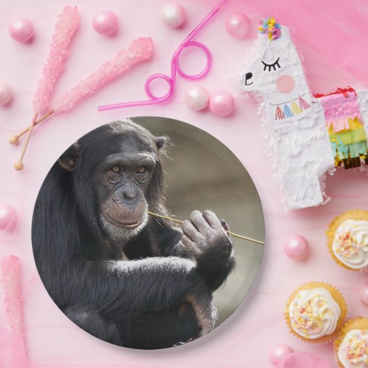 Denken Sie an das Monkeying Pappteller (Party)