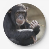 Denken Sie an das Monkeying Pappteller (Vorderseite)