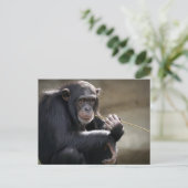 Denken Sie an das Monkeying Postkarte (Stehend Vorderseite)